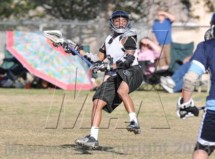 Thumbnail 1 in Palo Verde Black vs Centennial photogallery.