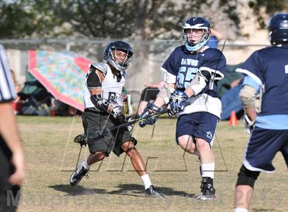 Thumbnail 1 in Palo Verde Black vs Centennial photogallery.