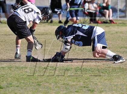 Thumbnail 3 in Palo Verde Black vs Centennial photogallery.