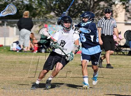 Thumbnail 3 in Palo Verde Black vs Centennial photogallery.