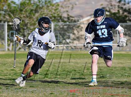 Thumbnail 1 in Palo Verde Black vs Centennial photogallery.
