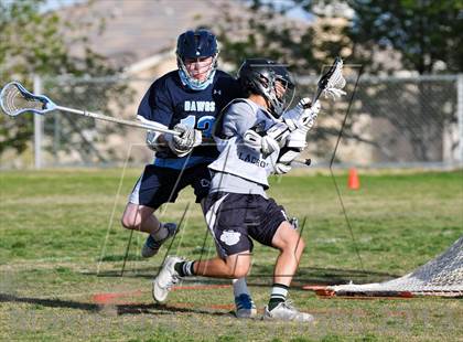 Thumbnail 1 in Palo Verde Black vs Centennial photogallery.