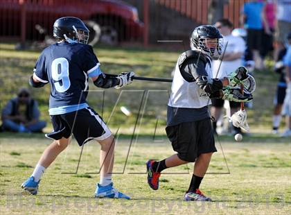 Thumbnail 2 in Palo Verde Black vs Centennial photogallery.