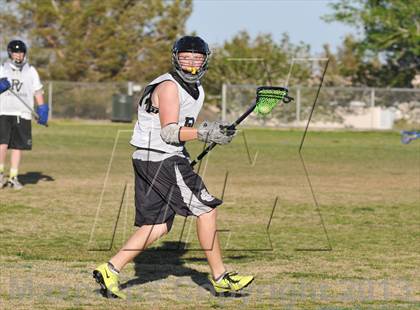 Thumbnail 2 in Palo Verde Black vs Centennial photogallery.