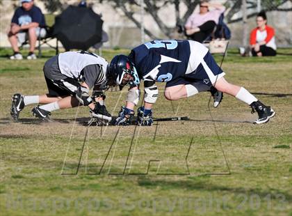 Thumbnail 2 in Palo Verde Black vs Centennial photogallery.