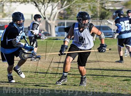 Thumbnail 1 in Palo Verde Black vs Centennial photogallery.