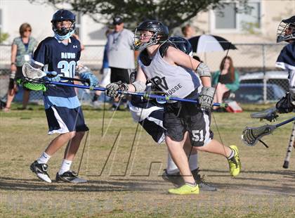 Thumbnail 1 in Palo Verde Black vs Centennial photogallery.