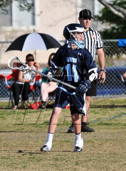 Thumbnail 2 in Palo Verde Black vs Centennial photogallery.