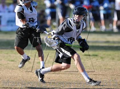 Thumbnail 1 in Palo Verde Black vs Centennial photogallery.