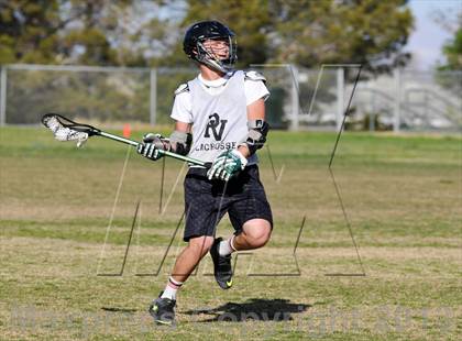 Thumbnail 1 in Palo Verde Black vs Centennial photogallery.