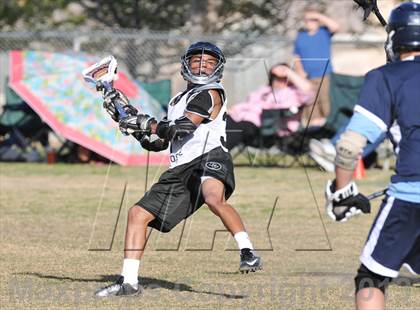 Thumbnail 2 in Palo Verde Black vs Centennial photogallery.