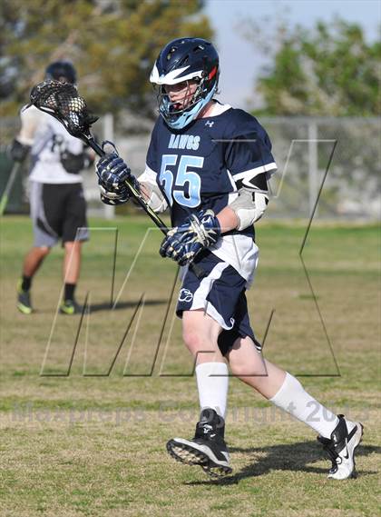 Thumbnail 2 in Palo Verde Black vs Centennial photogallery.