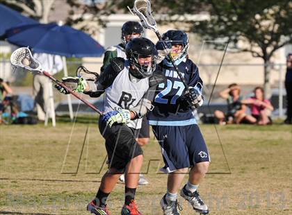 Thumbnail 1 in Palo Verde Black vs Centennial photogallery.