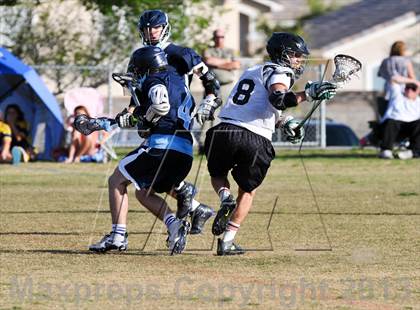 Thumbnail 1 in Palo Verde Black vs Centennial photogallery.