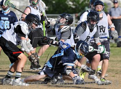 Thumbnail 1 in Palo Verde Black vs Centennial photogallery.