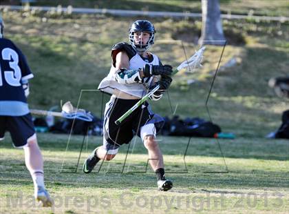 Thumbnail 2 in Palo Verde Black vs Centennial photogallery.
