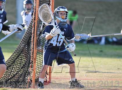 Thumbnail 1 in Palo Verde Black vs Centennial photogallery.