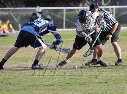 Thumbnail 1 in Palo Verde Black vs Centennial photogallery.