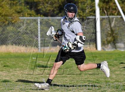 Thumbnail 1 in Palo Verde Black vs Centennial photogallery.