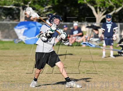 Thumbnail 2 in Palo Verde Black vs Centennial photogallery.