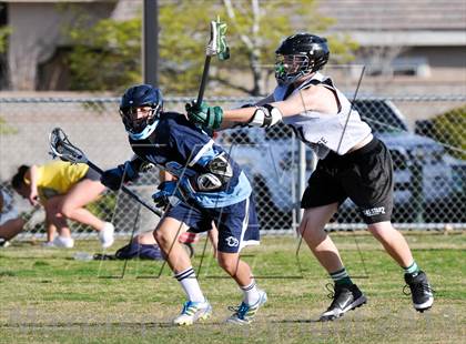 Thumbnail 1 in Palo Verde Black vs Centennial photogallery.