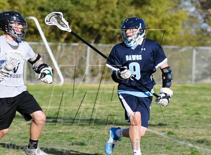 Thumbnail 1 in Palo Verde Black vs Centennial photogallery.