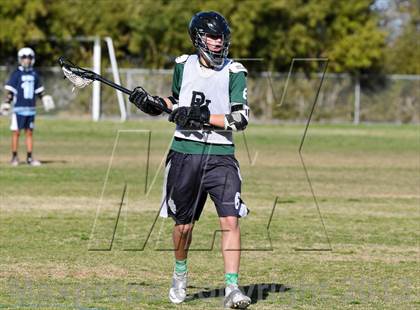 Thumbnail 2 in Palo Verde Black vs Centennial photogallery.