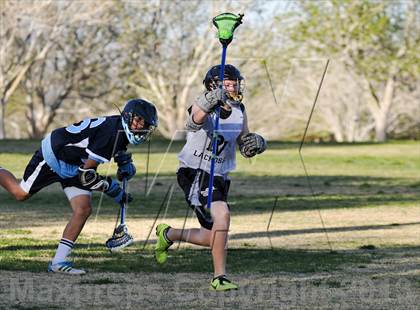 Thumbnail 3 in Palo Verde Black vs Centennial photogallery.