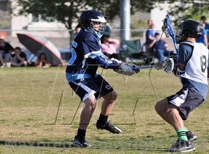 Thumbnail 3 in Palo Verde Black vs Centennial photogallery.