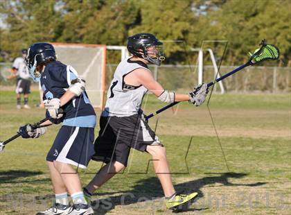 Thumbnail 1 in Palo Verde Black vs Centennial photogallery.