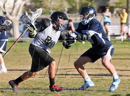 Thumbnail 2 in Palo Verde Black vs Centennial photogallery.