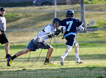 Thumbnail 1 in Palo Verde Black vs Centennial photogallery.