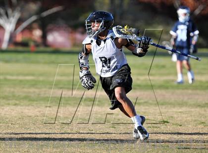 Thumbnail 2 in Palo Verde Black vs Centennial photogallery.