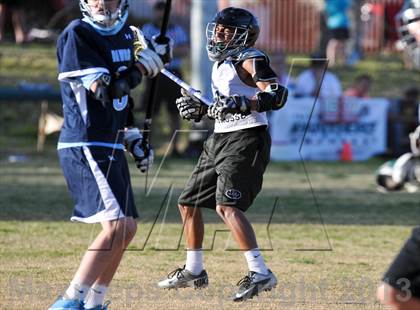 Thumbnail 2 in Palo Verde Black vs Centennial photogallery.