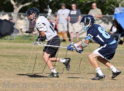 Thumbnail 1 in Palo Verde Black vs Centennial photogallery.