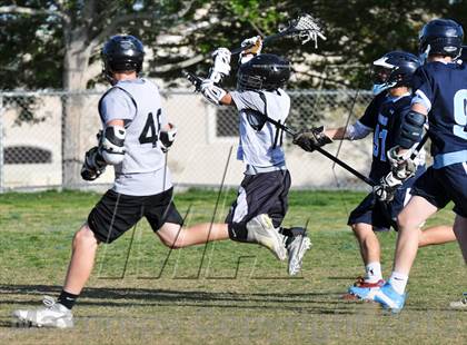 Thumbnail 2 in Palo Verde Black vs Centennial photogallery.