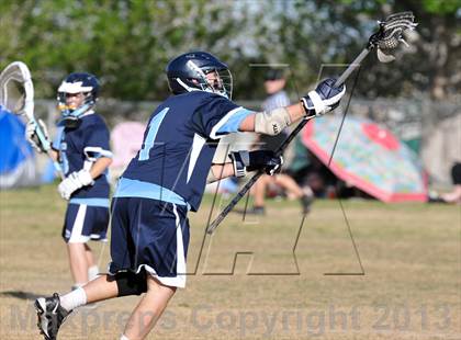 Thumbnail 2 in Palo Verde Black vs Centennial photogallery.