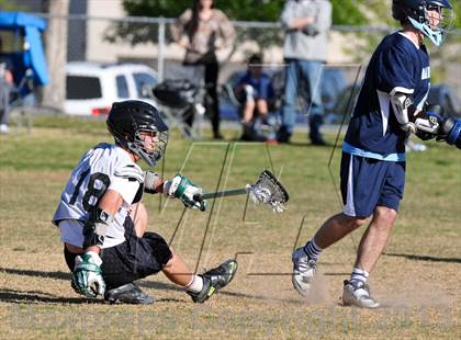 Thumbnail 1 in Palo Verde Black vs Centennial photogallery.