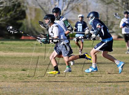 Thumbnail 3 in Palo Verde Black vs Centennial photogallery.