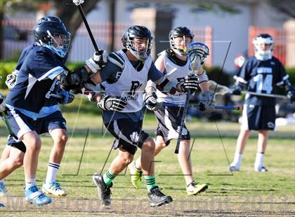 Thumbnail 2 in Palo Verde Black vs Centennial photogallery.