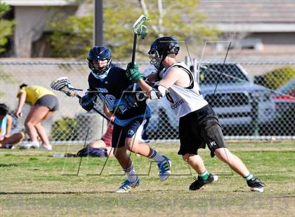 Thumbnail 3 in Palo Verde Black vs Centennial photogallery.