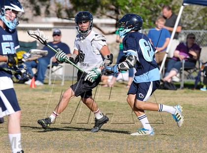 Thumbnail 1 in Palo Verde Black vs Centennial photogallery.