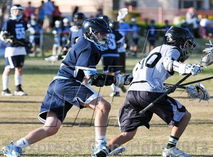Thumbnail 1 in Palo Verde Black vs Centennial photogallery.