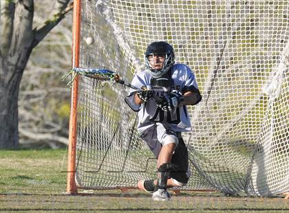 Thumbnail 1 in Palo Verde Black vs Centennial photogallery.