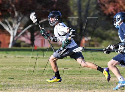 Thumbnail 2 in Palo Verde Black vs Centennial photogallery.
