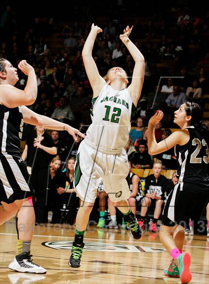 Thumbnail 1 in D'Evelyn vs. Pueblo South (CHSAA 4A Final) photogallery.