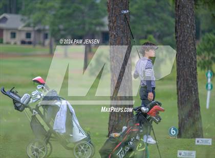 Thumbnail 3 in NCHSAA 3A Finals (Longleaf Golf Club) photogallery.