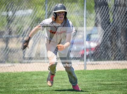 Thumbnail 2 in Wells vs. Sierra Lutheran (NIAA 1A Northern Region Playoff) photogallery.