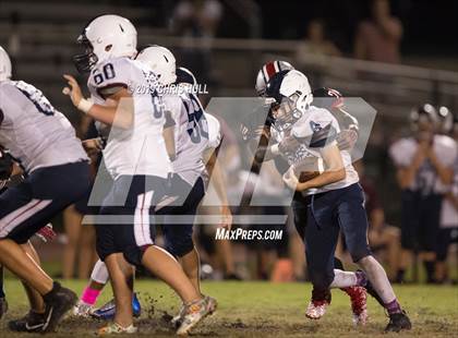 Thumbnail 3 in Palm Harbor University @ Clearwater photogallery.