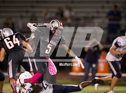 Thumbnail 3 in Palm Harbor University @ Clearwater photogallery.
